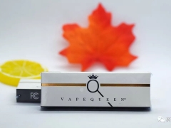 VapeQueen一次性小烟电子烟使用评测