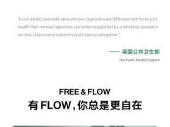 “破坏大环境”的FLOW福禄电子烟预售中，3月18日陆续到货！