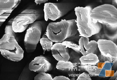 纤维中腔大