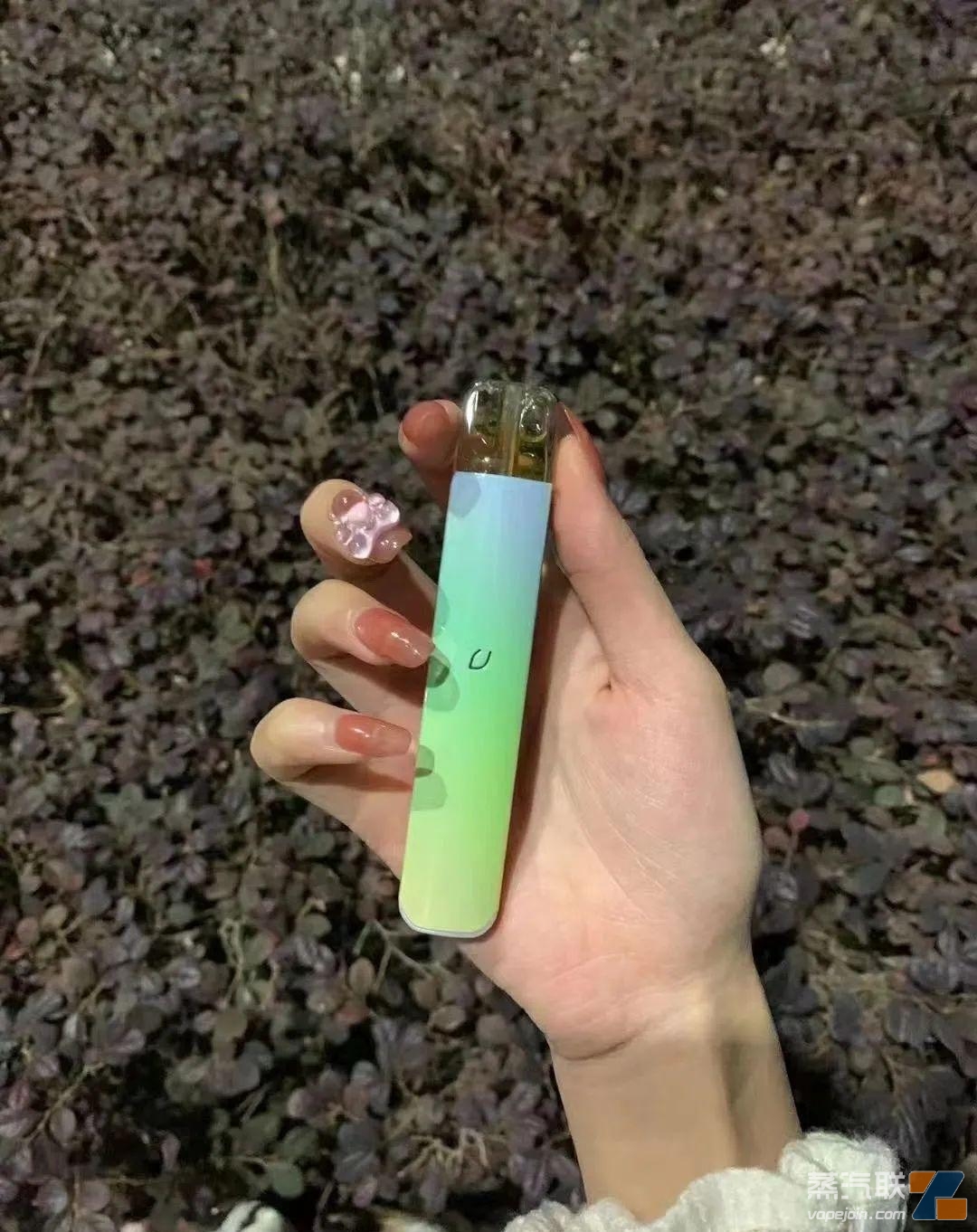 LVLUO绿箩三代新品