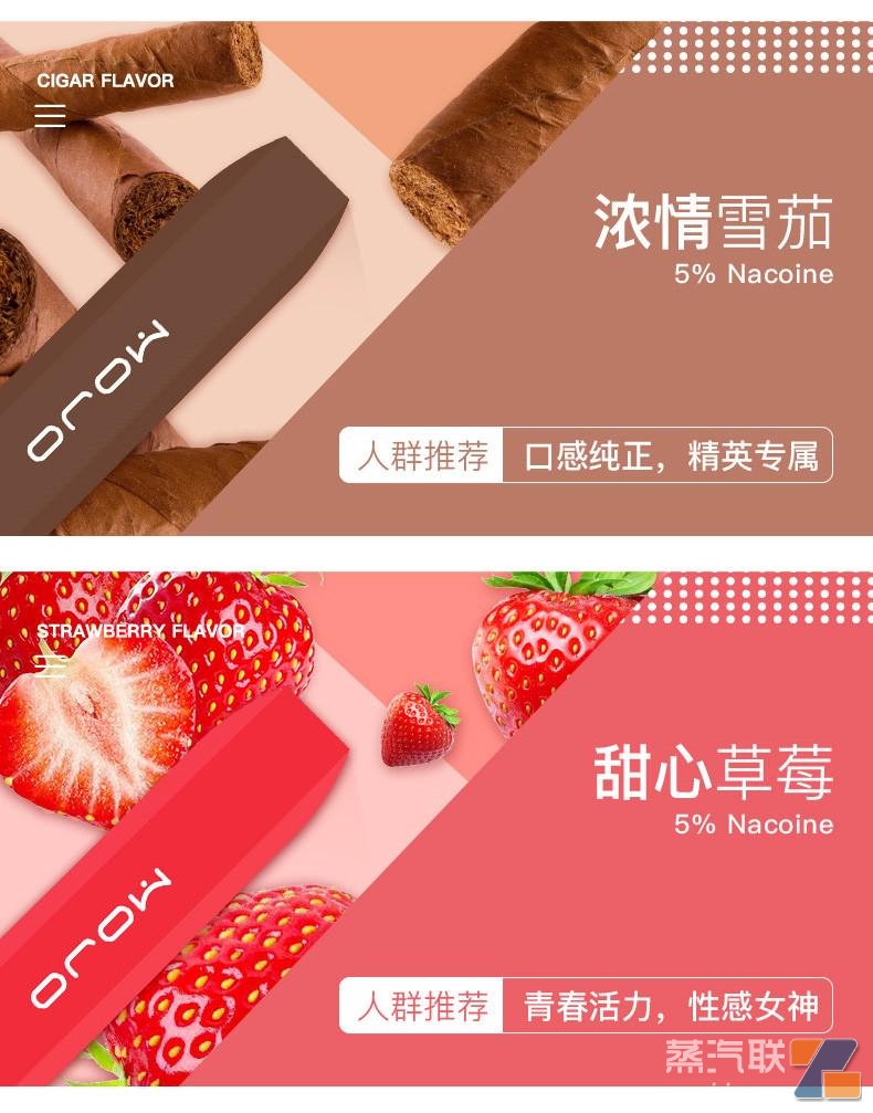 MOTI魔笛一次性电子烟套装