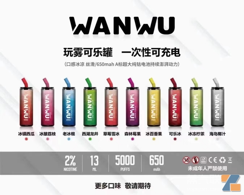 玩雾可乐罐 一次性大烟雾5000口可充电