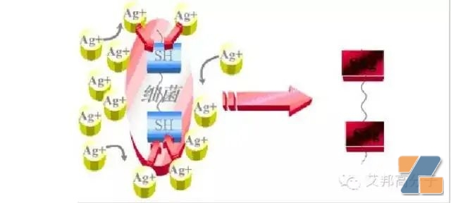 银离子抗菌机理