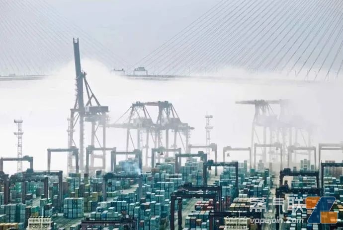 香港可能撤销电子烟陆运和海运转出口禁令
